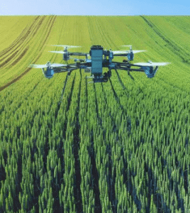 AI in Pest Detection Systems