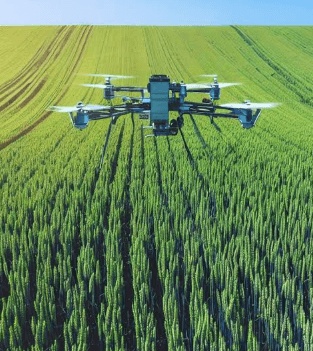 AI in Pest Detection Systems